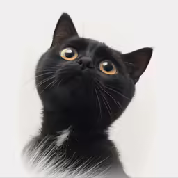 a black cat looking at something with big eyes