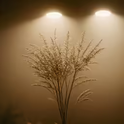 a small pot with flowers on it under two lights