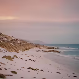 a couple of birds sitting on top of a sandy beach