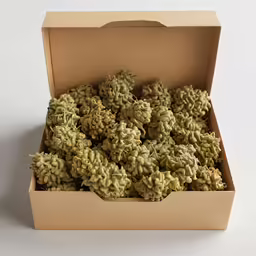 an open box with green moss on the inside of it