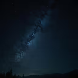 stars move across the night sky above some trees
