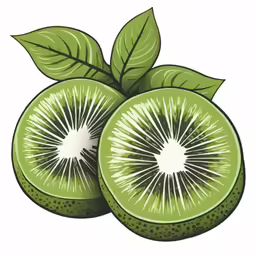sliced kiwi with leaf and slices on white background