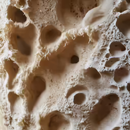 closeup of the layers and holes in the clay