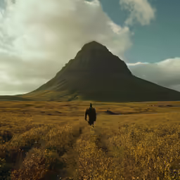 a man is walking through an open field with a mountain in the background