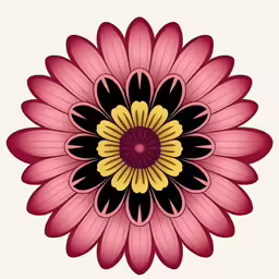 a large pink flower that is shown from above