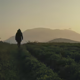 a person walking along the grass towards the mountains