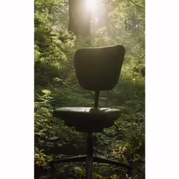 a chair that is sitting in the grass