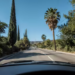 the sun is shining on a paved road between two palm trees