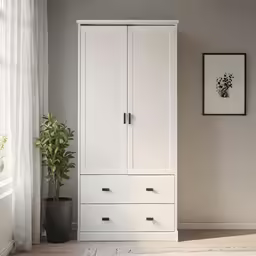 an armoire with several drawers and some plants
