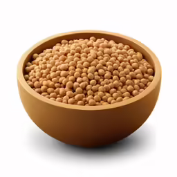an orange bowl filled with food on a white background