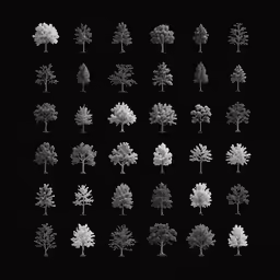 different trees and leaves in black and white