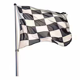 the checkered flag on a pole is black and white