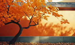 an orange tree in front of a tan wall