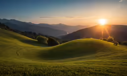 a grassy field in the middle of the day