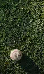a white fire hydrant laying on a grass field