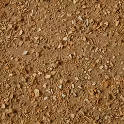 closeup of a dirt area with rocks and mud