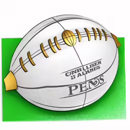 a football is shown on the ground on a grass