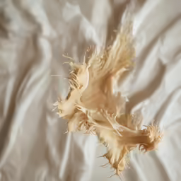 a blurry photo of an ivory silk