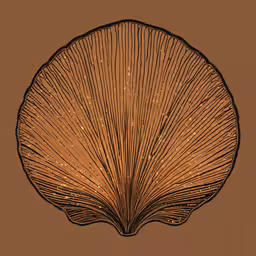 a fan that has been shaped into a shell,a fan like object suspended in a brown background