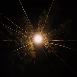 an image of a light in the air in the woods