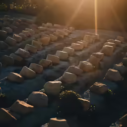 a field with rows of stone walking through it