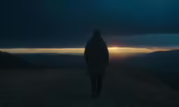 a man standing on a hill in the dark