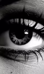 an eye with the iris and eyebrows, as well as long eyelashes