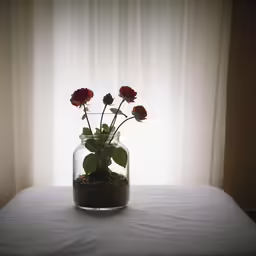 some red flowers in a glass jar sitting on a bed