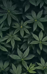 a bunch of green leaves next to each other
