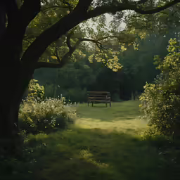 a bench is set in between trees in the field