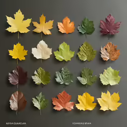 different colored leaves in various shapes and sizes