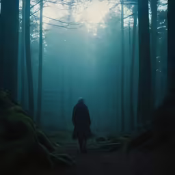 a person is standing in the woods surrounded by green trees