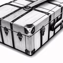 3d black and white image of luggage