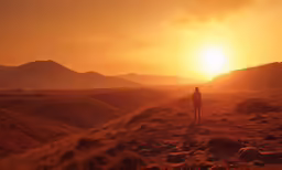 a person is walking down a path at sunset