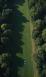 a green lawn in between trees with an orange car