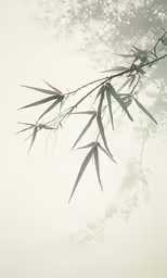 the background of a branch of bamboo