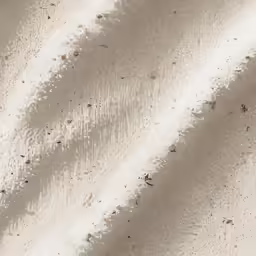 white and beige sand beach area with waves
