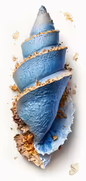three bowls in the form of a shell with sand and sea shells around them