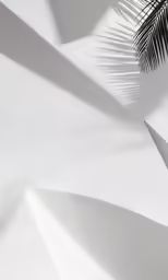 an abstract image of the shadows of palm leaves