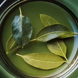 the leaves are placed on the plate ready to be eaten