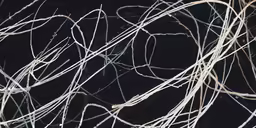 an abstract photo of a black background with white twigs