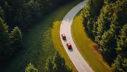 two cars driving on a road between trees
