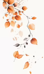 autumn leaves and seed pods growing in sunlight