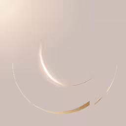 a circular white object with a thin line around it