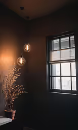 this is the window to a bathroom that has a flower pot in it
