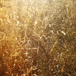 a lush green field with yellow and brown leaves