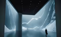 person walking in room with snow on ground