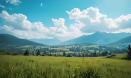 the valley is full of green plants and mountains
