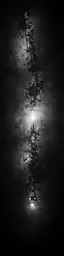 a tree reflected in the water at night