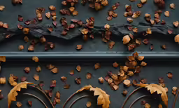 some brown leaves are lying on the ground
